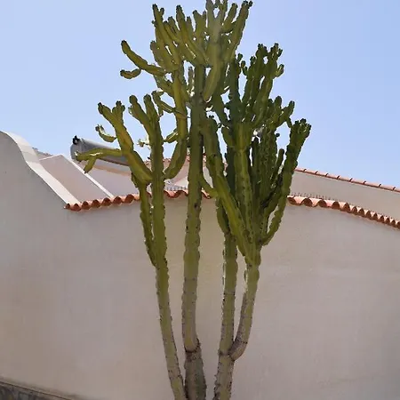Holiday home Casa El Flamenco Zoutmeer