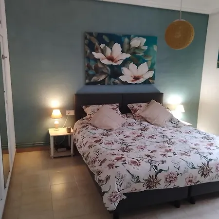 Casa El Flamenco Zoutmeer Holiday home *